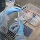 A lab technician handles a test tube with a live sample from a person tested for the novel coronavirus.